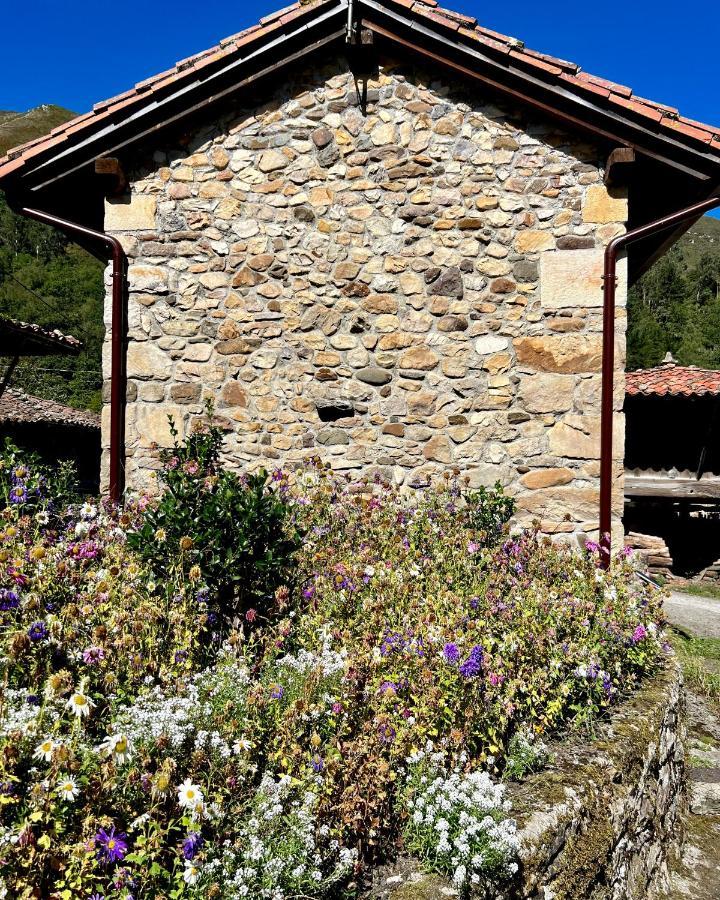 La Casita De Olivia Espinaredo Villa La Villa Exterior photo